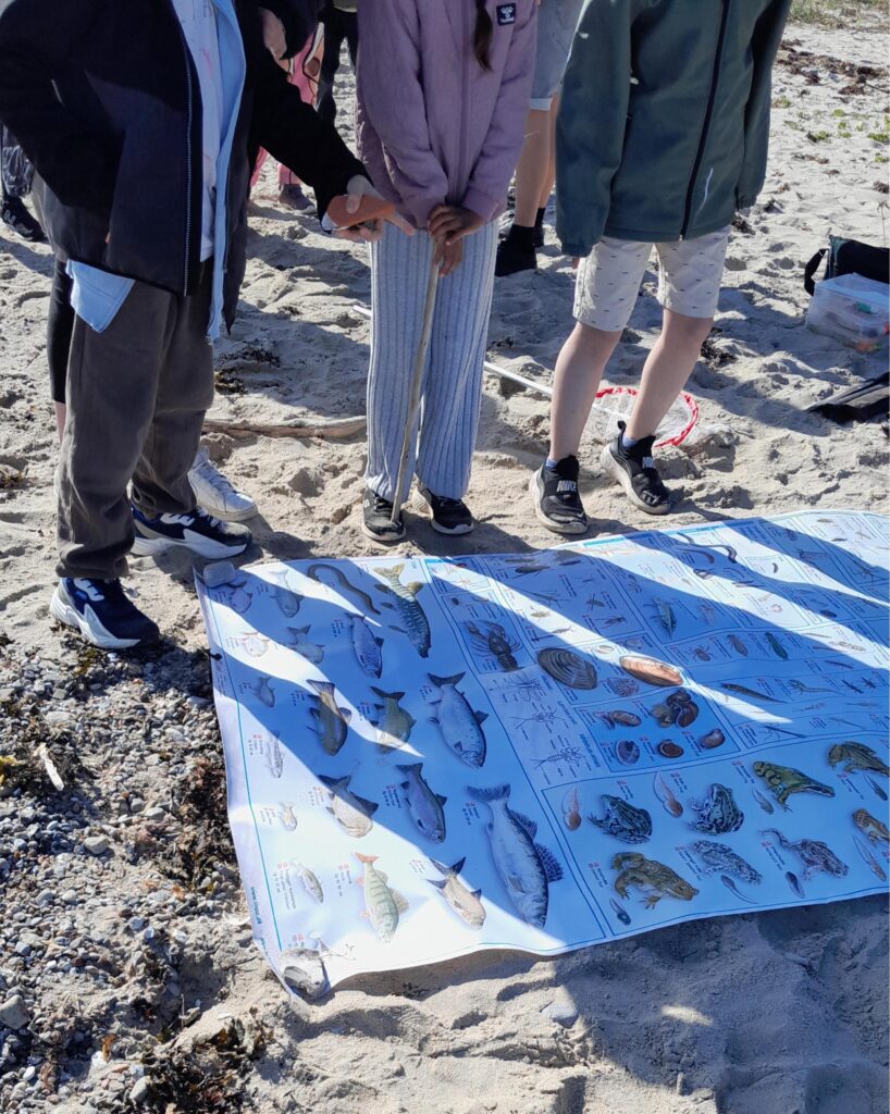 Billedet viser børn med friluftsudstyr. Børn står ved bestemmelsesdug med fisk på. På stranden